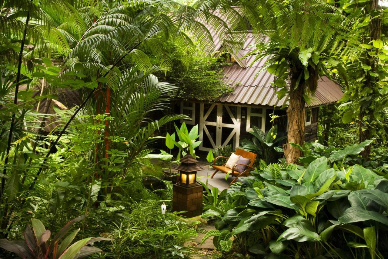 Rain Forest Resort Ban Pak Yang Eksteriør billede